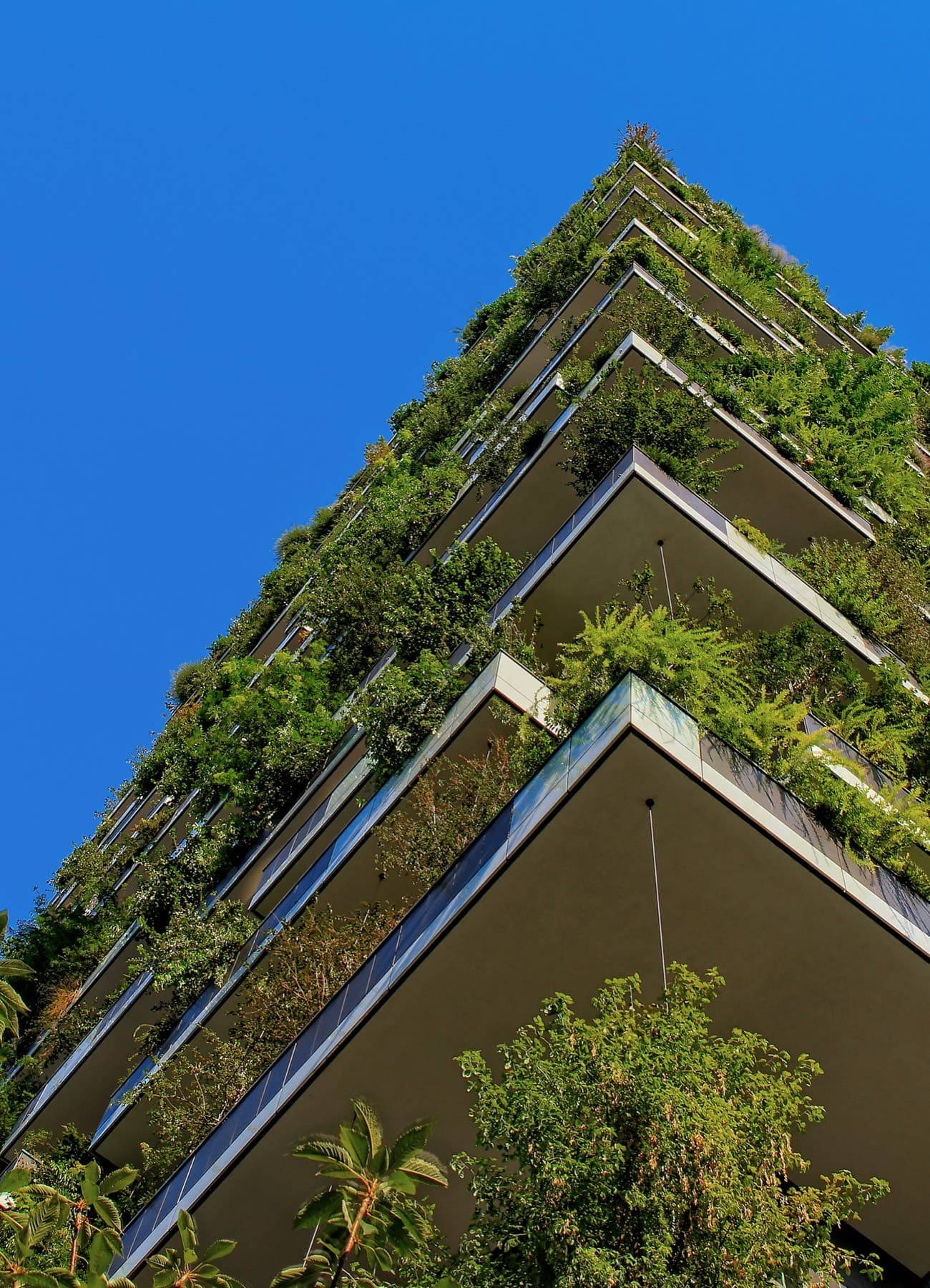 Sustainability Consulting